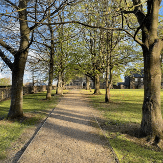 Professional web designer Ballymena